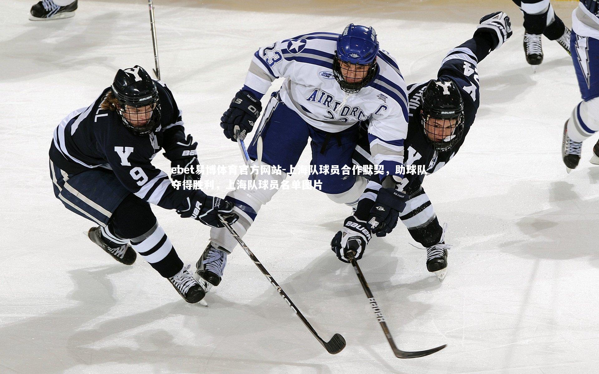 上海队球员合作默契，助球队夺得胜利，上海队球员名单图片