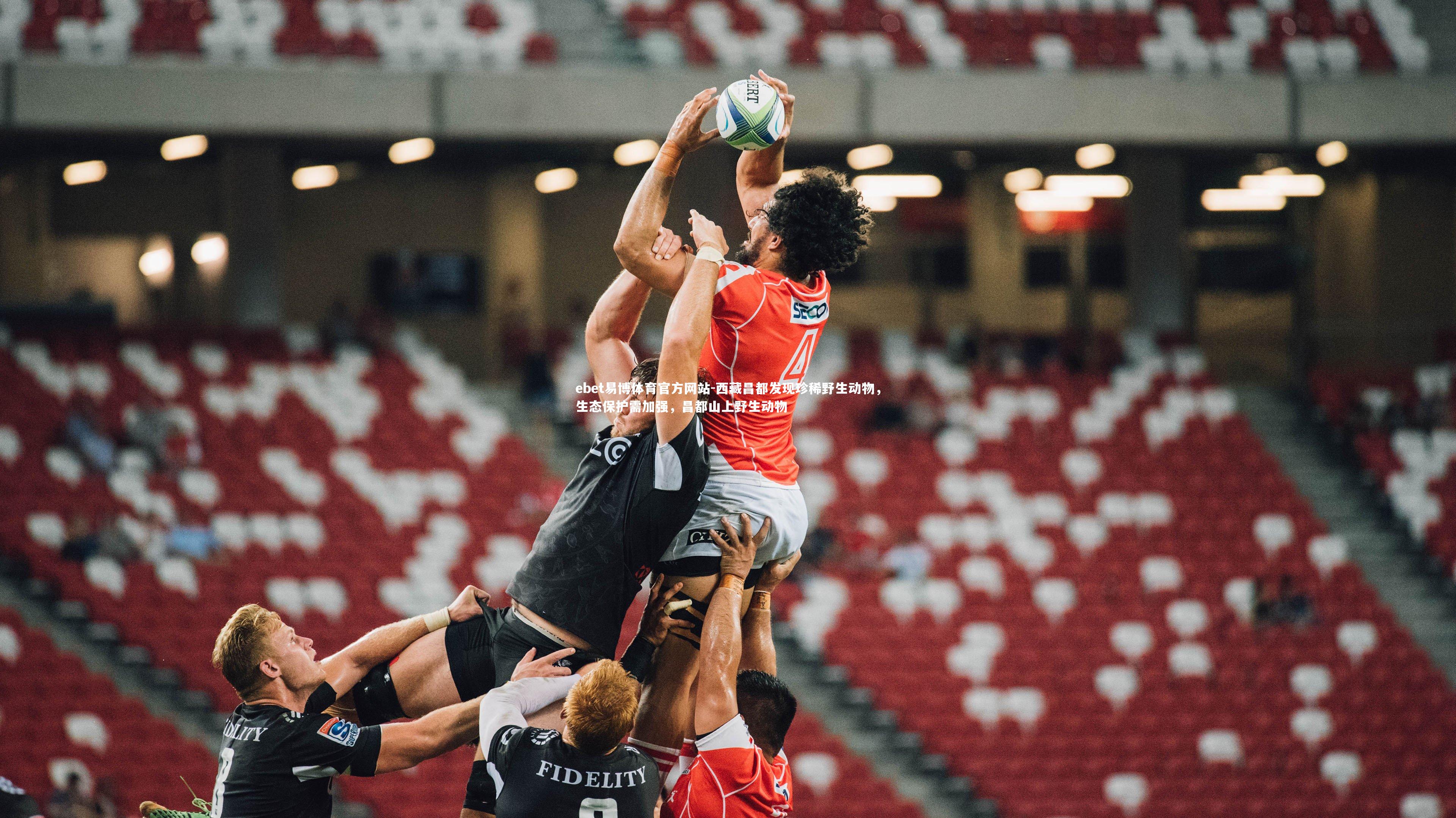 西藏昌都发现珍稀野生动物，生态保护需加强，昌都山上野生动物