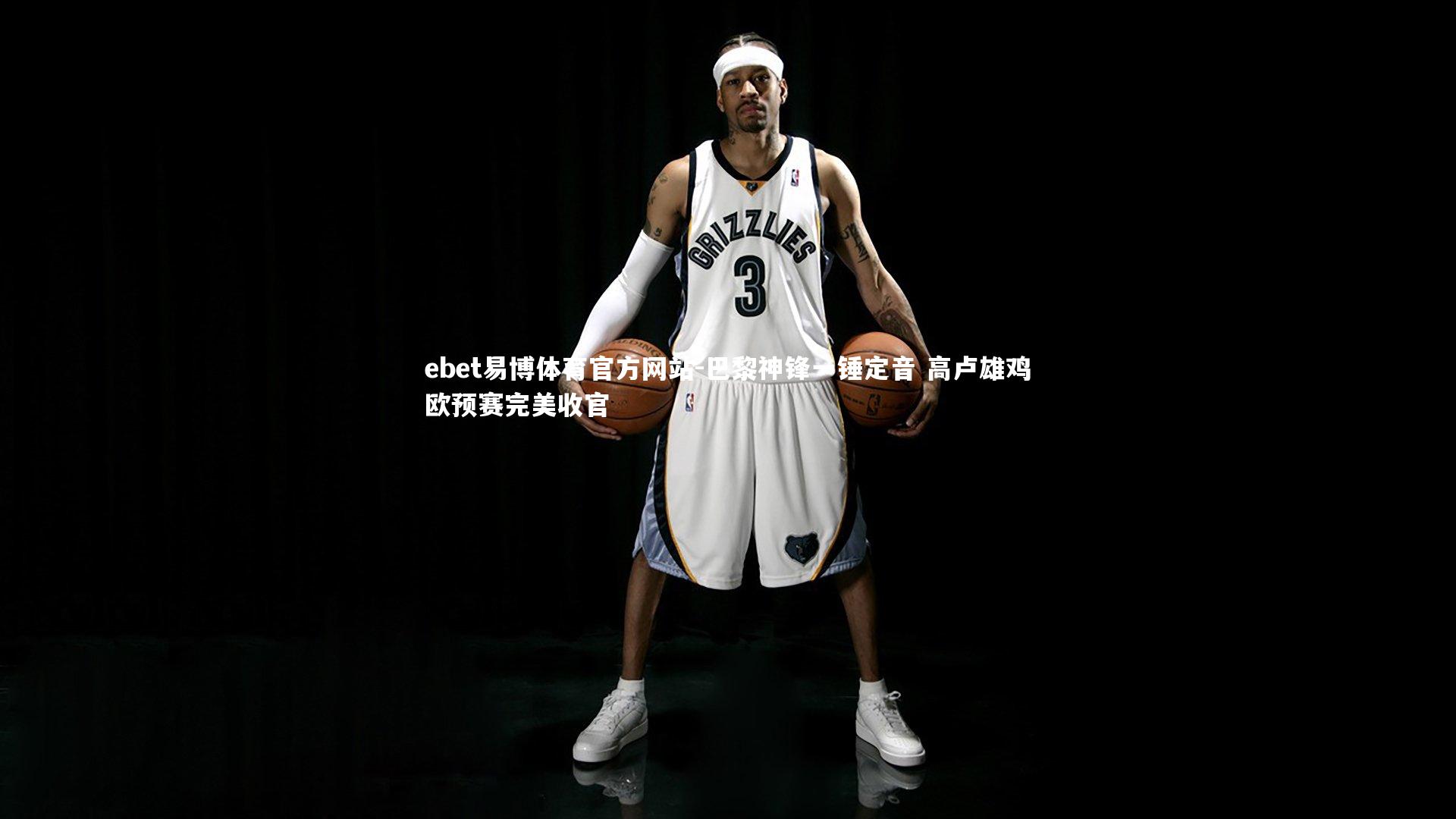 巴黎神锋一锤定音 高卢雄鸡欧预赛完美收官