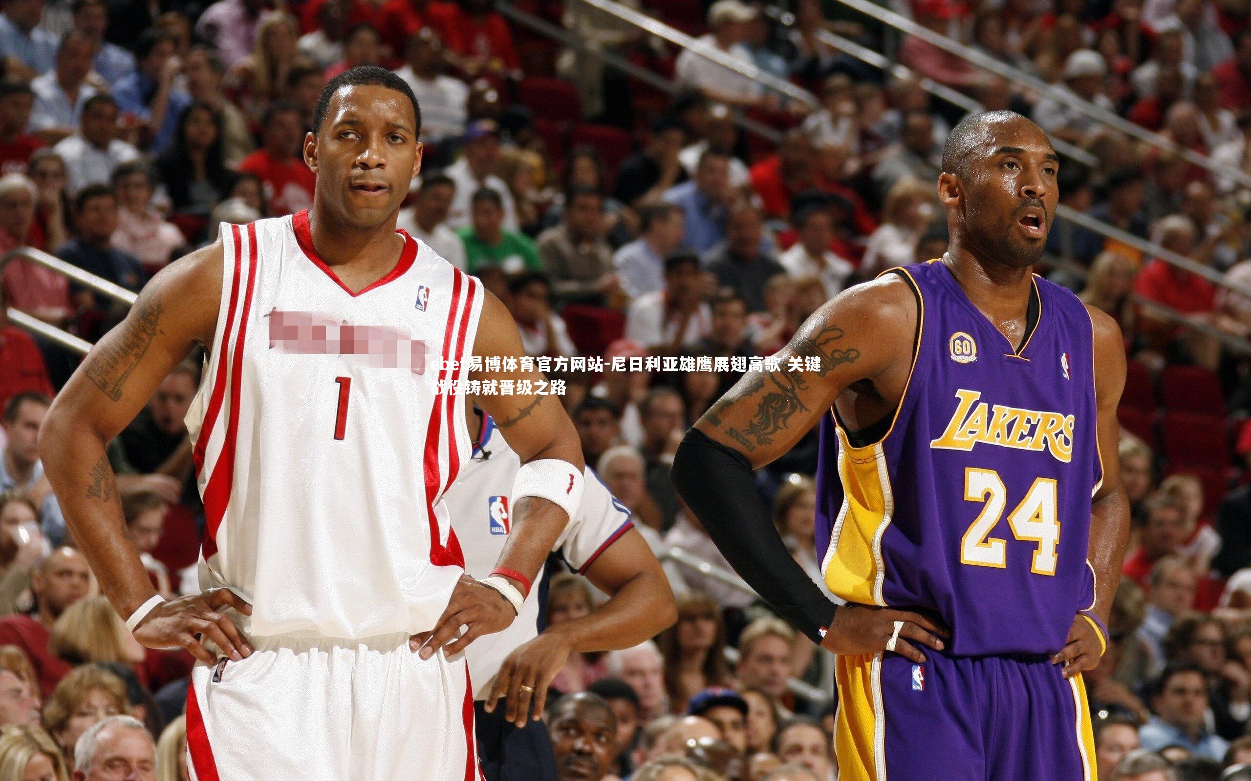 尼日利亚雄鹰展翅高歌 关键战役铸就晋级之路